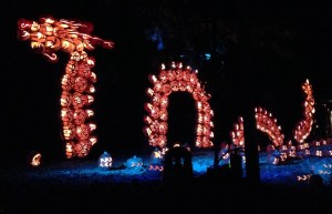 IMG_5079 - Version 2