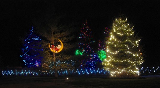 virginia lane santa high