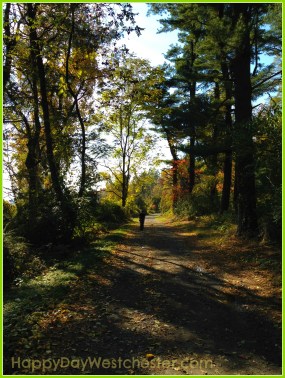 Happy Day Westchester Hike the trails