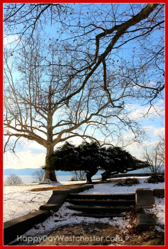 happy Day Westchester Rockwood Hall Steps 2