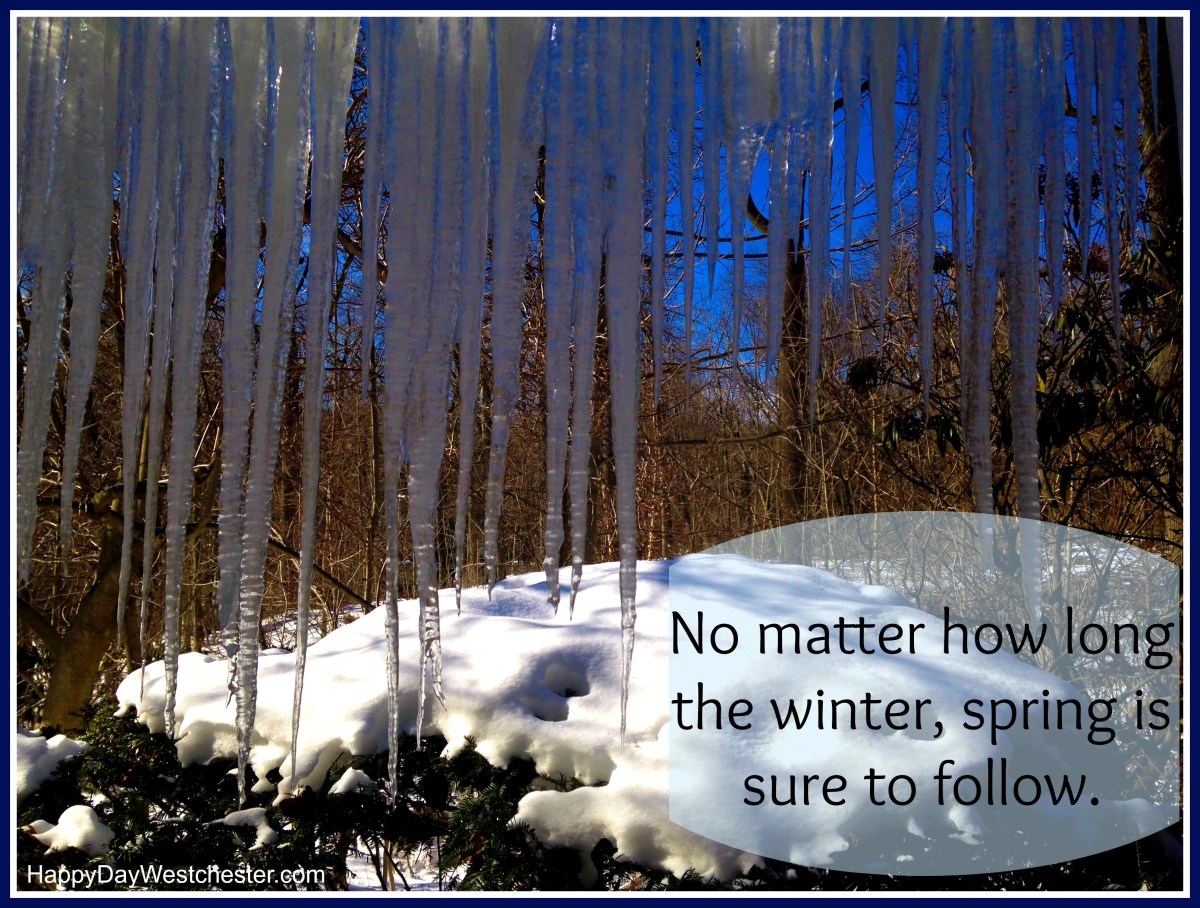 No matter how long the winter, spring is sure to follow | Happy Day ...