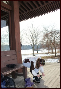 happy day westchester benches at the tea house