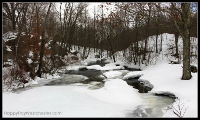 Happy Day Westchester Stream Ward Pound Ridge