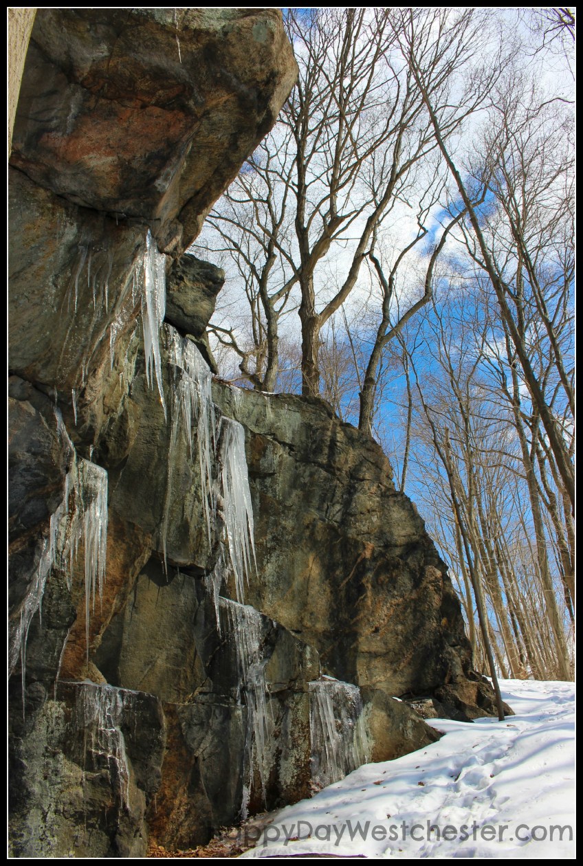 Wordhound Ridge Our February Hike in Ward Pound Ridge Reservation – spectacular ...