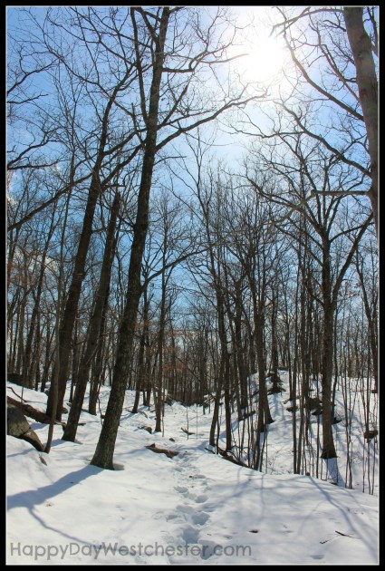 Happy Day Westchester Ward Pound Ridge Trail 2