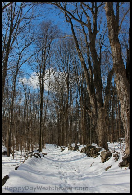 Happy Day Westchester Ward Pound Ridge Trail