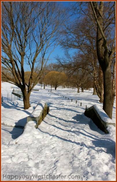 happy day westchester ww path