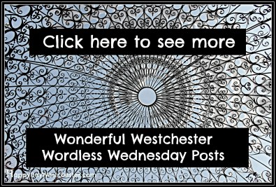 Happy Day See More Westchester Worldess Wednesday gritty