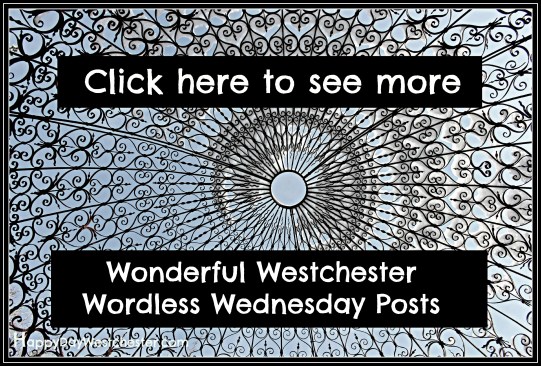 Happy Day See More Westchester Worldess Wednesday gritty