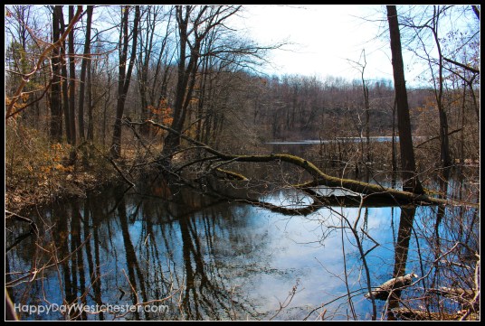 Happy Day Westchester Cranberry Lake