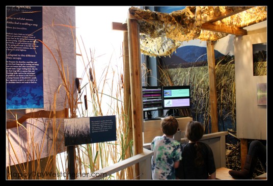 Happy Day Westchester Hudson River Museum Bird Station