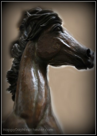 Happy Day Westchester Wordless Wednesday horse