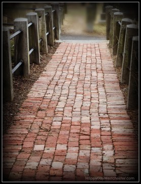 Happy Day Westchester WW SHC 10