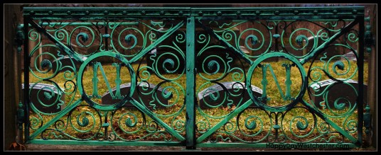 Happy Day Westchester WW SHC 3