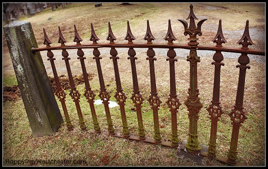 Happy Day Westchester WW SHC 5