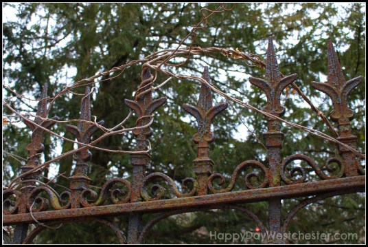 Happy Day Westchester WW SHC