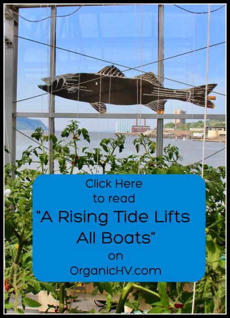 Science Barge Blig Link